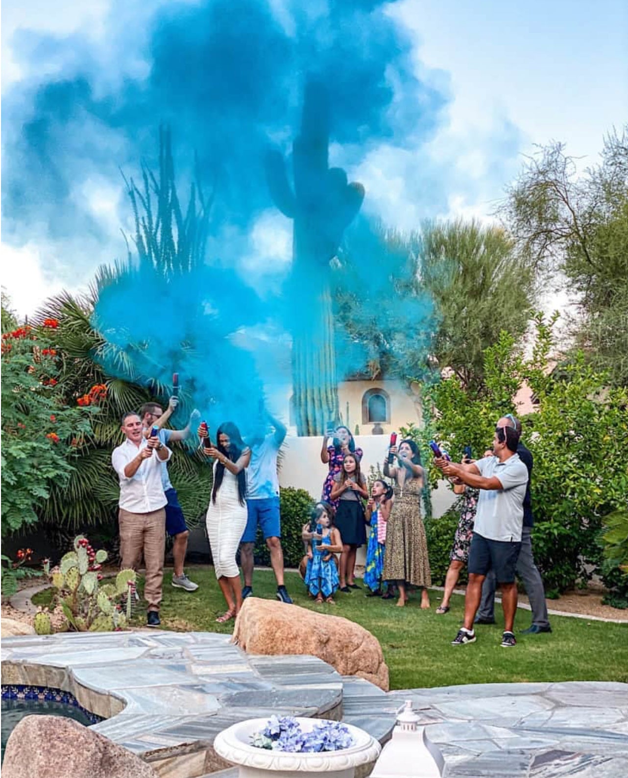 Artificii de zi baby shower Gender Reveal Albastru sau ROZ
